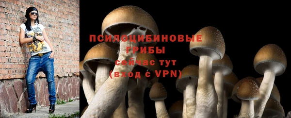 ALPHA PVP Балахна